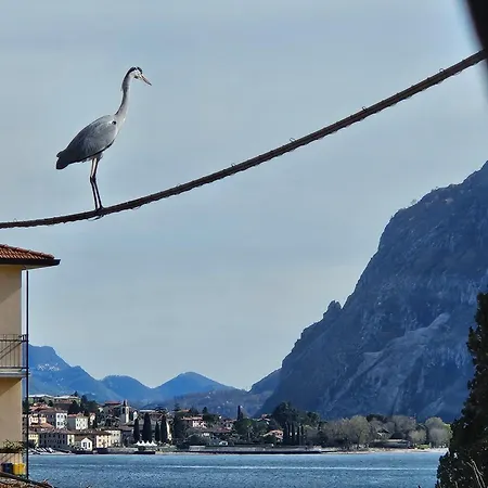 Apartmán L'airone - Casa